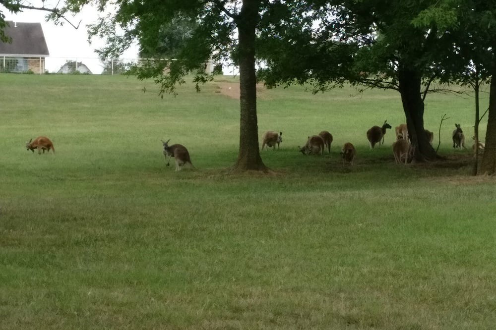 Photo of Outdoor in Adair