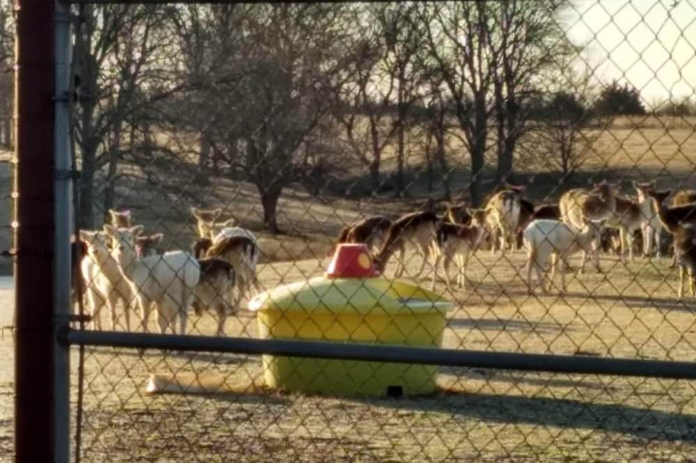 Photo of Others in Adair