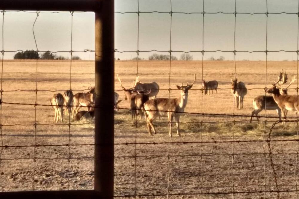 Photo of Others in Adair