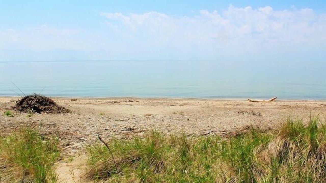 Photo of Others in Fort Erie