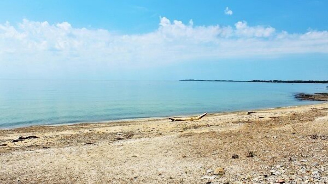 Photo of Others in Fort Erie