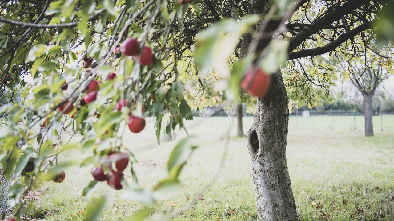 Photo of Outdoor in Les Molieres