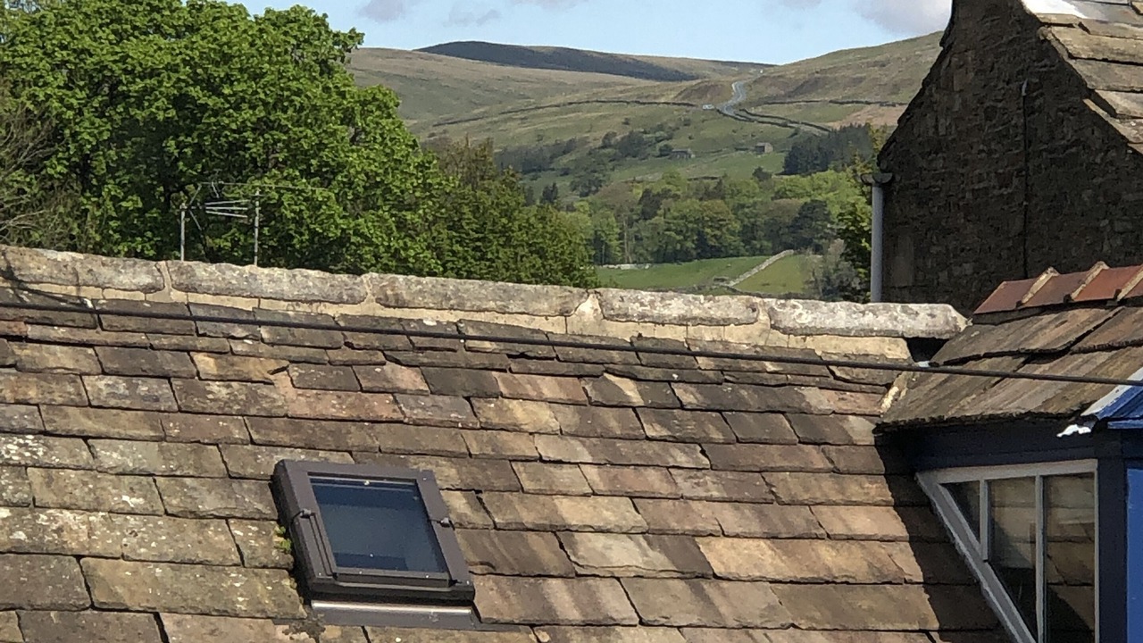 Photo of Others in Gayle