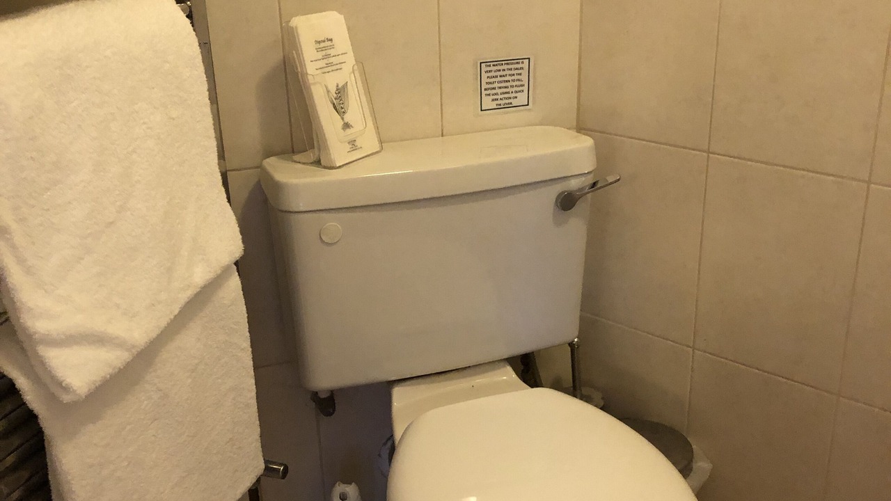 Photo of Others in Gayle