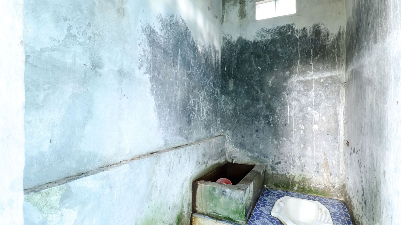 Photo of Others in Kokap