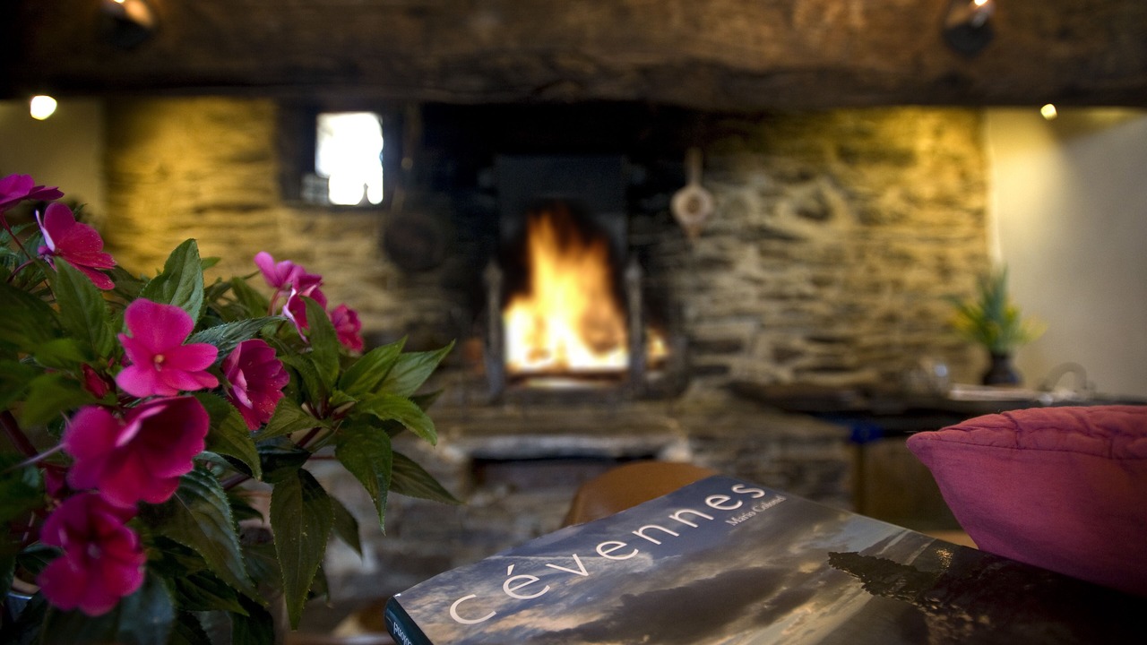 Photo of Livingroom in Vialas