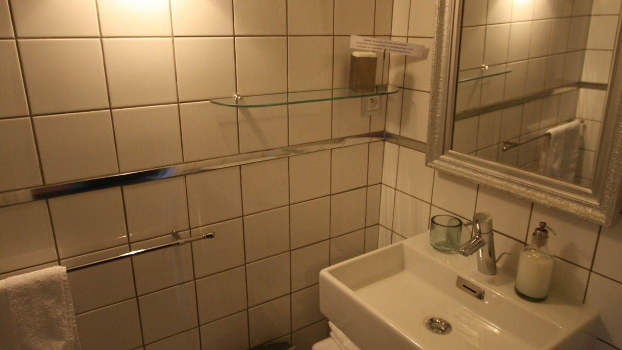 Photo of Bathroom in Vialas