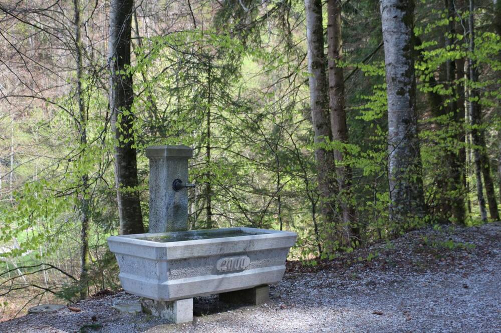Photo of Outdoor in Grandvillard