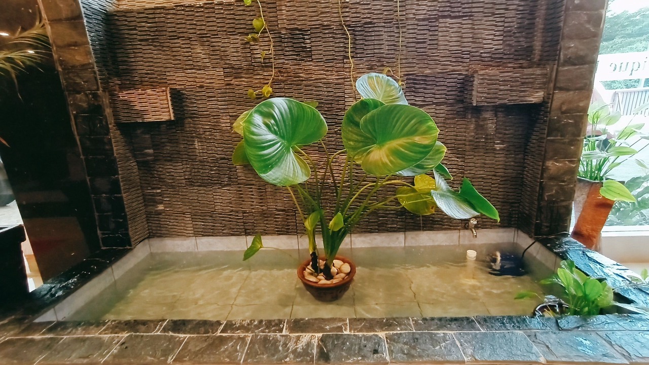 Photo of Others in Kampung Salak