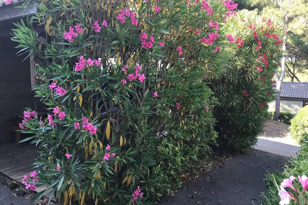 Photo of Outdoor in Agde