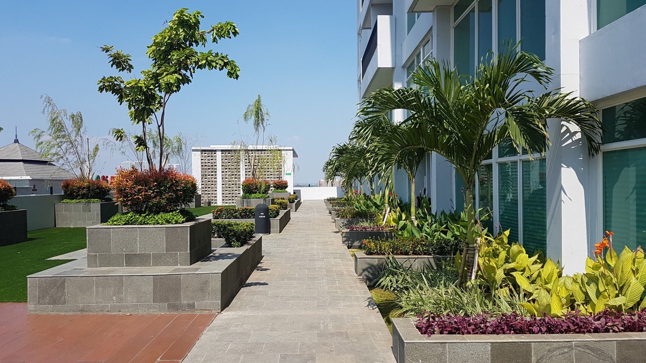 Photo of Others in Cikokol