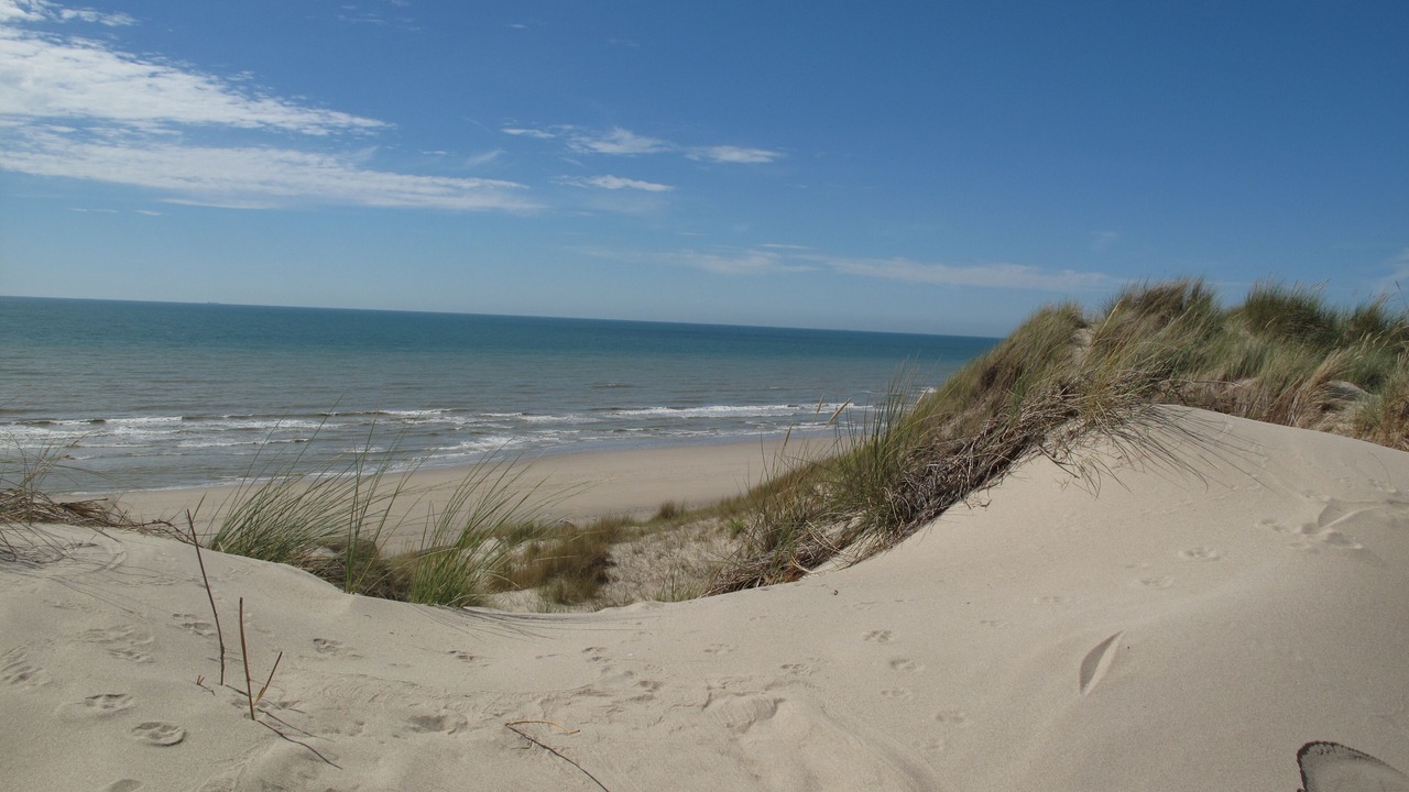 Photo of Others in Hardelot-Plage