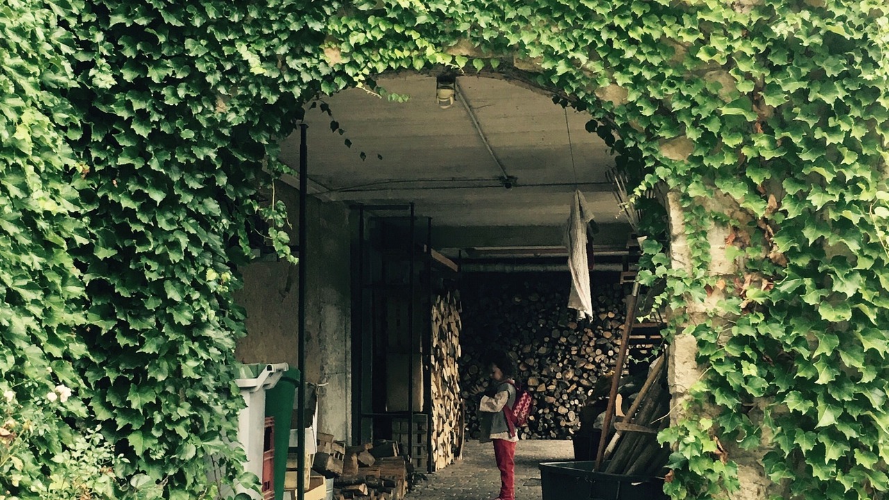 Photo of Outdoor in Chambonas