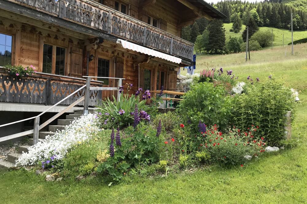 Photo of Outdoor in Ormont-Dessous