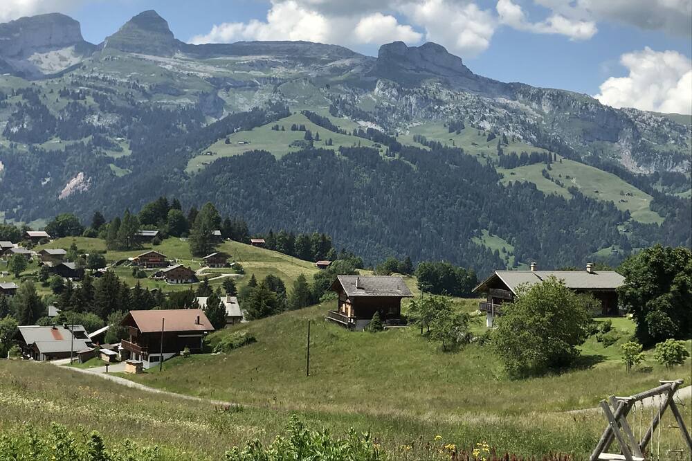 Photo of Outdoor in Ormont-Dessous