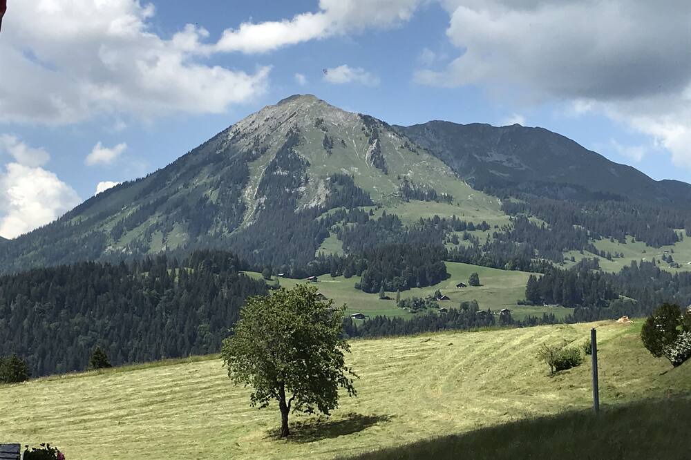Photo of Outdoor in Ormont-Dessous