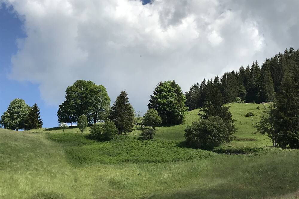 Photo of Outdoor in Ormont-Dessous