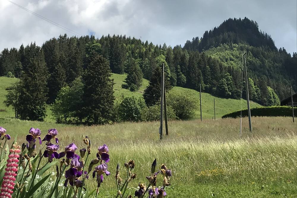 Photo of Outdoor in Ormont-Dessous