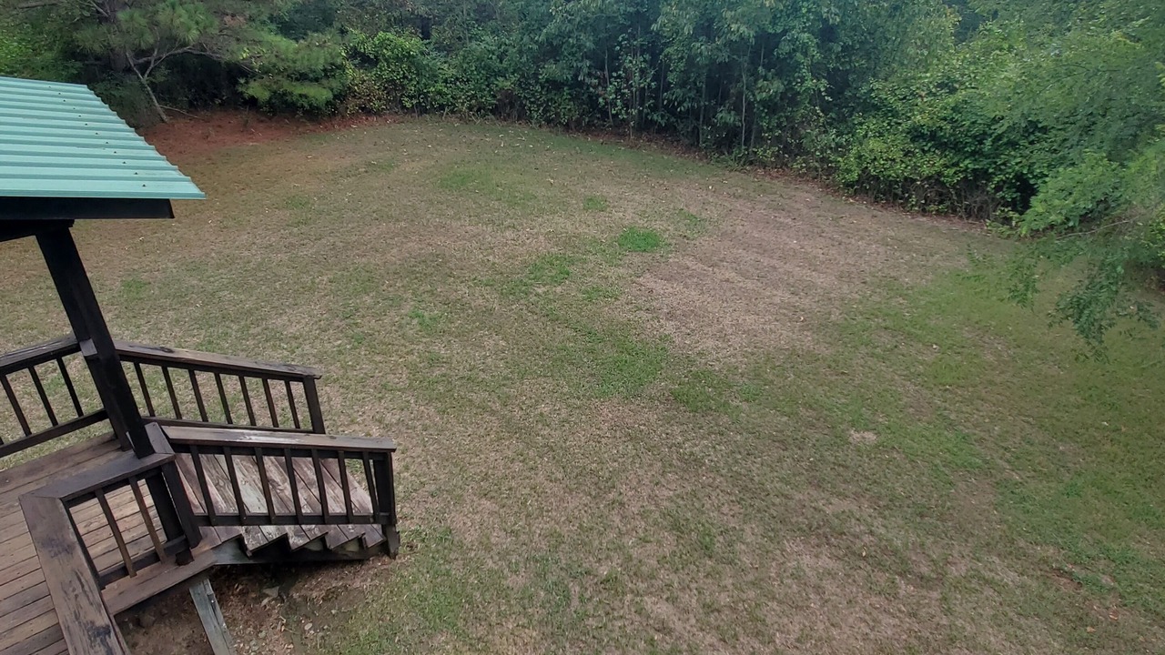 Photo of Outdoor in Smithville