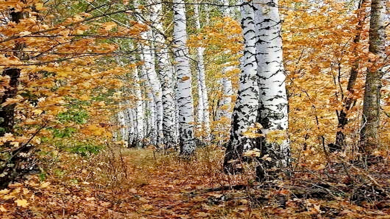 Photo of Outdoor in Breze