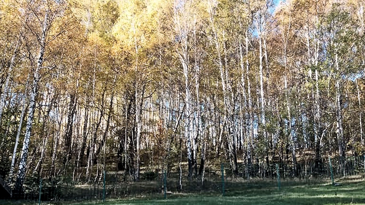 Photo of Outdoor in Breze