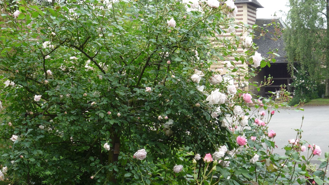 Photo of Outdoor in Ribecourt-la-Tour