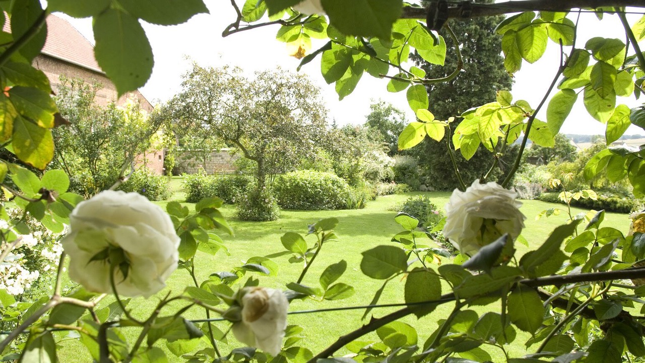 Photo of Outdoor in Ribecourt-la-Tour