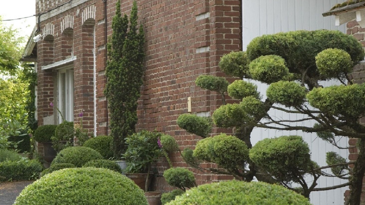 Photo of Outdoor in Ribecourt-la-Tour