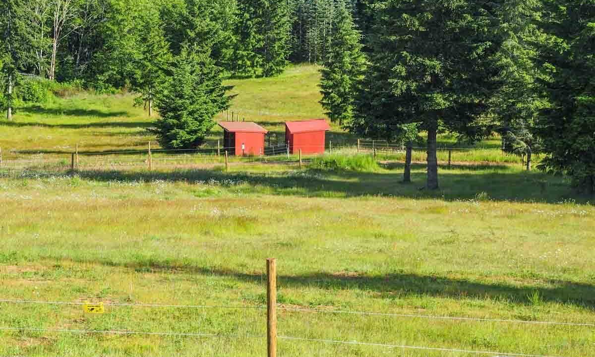 Photo of Outdoor in Banks