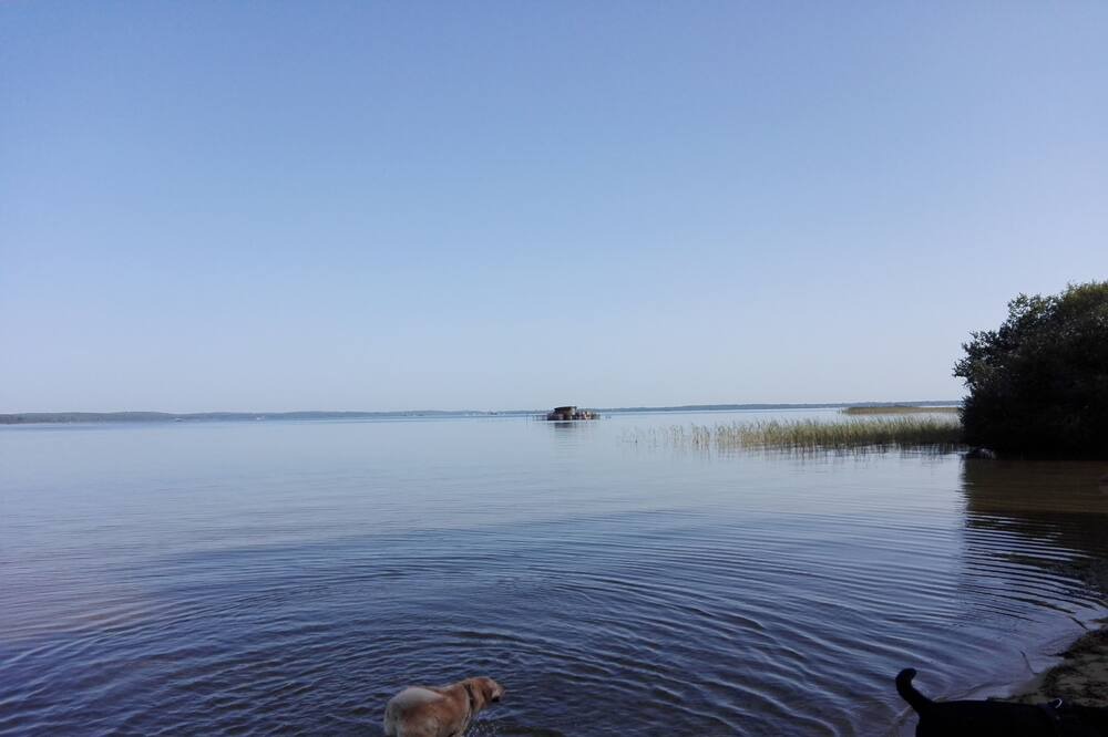 Photo of Others in Gastes