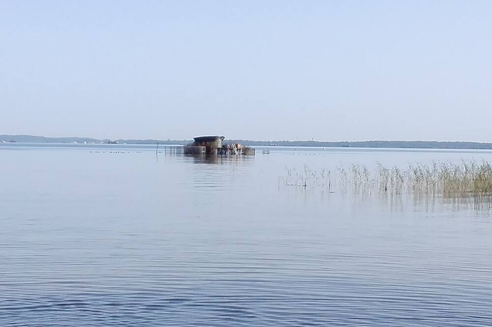 Photo of Others in Gastes