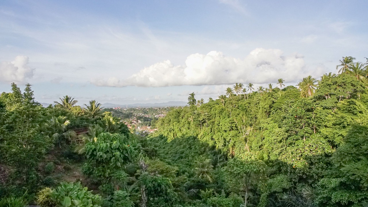 Photo of Others in Manado