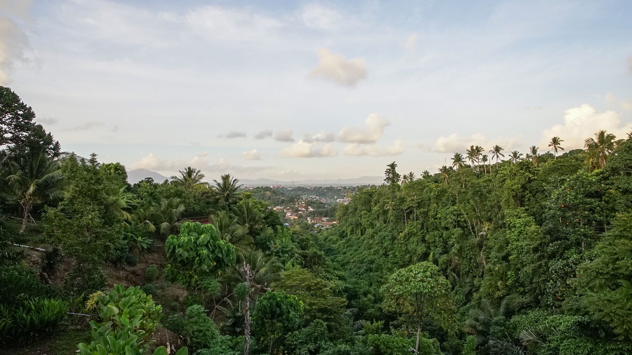 Photo of Others in Manado