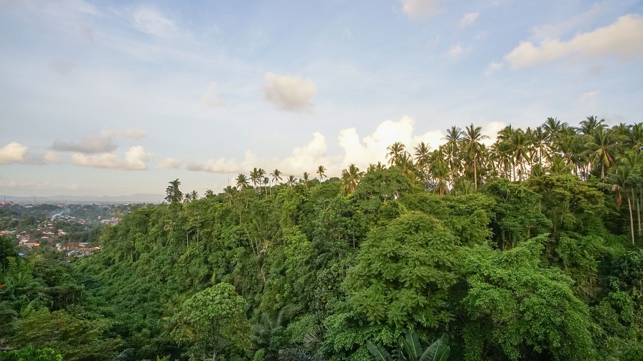 Photo of Others in Manado