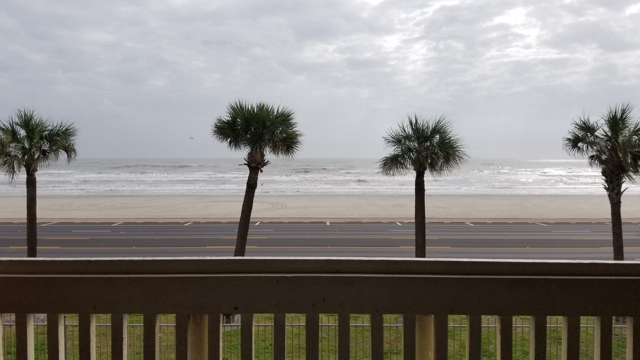 Photo of Others in Galveston