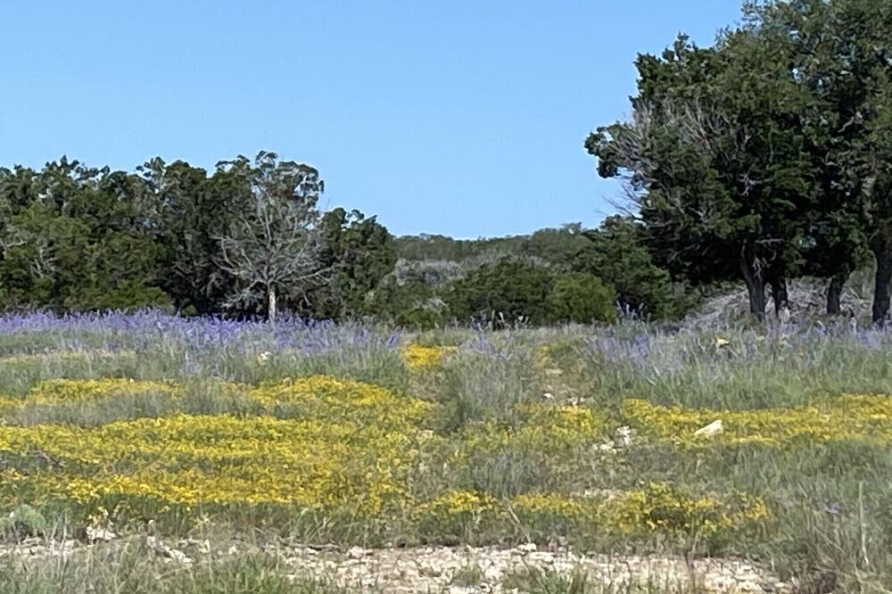 Photo of Outdoor in Telegraph