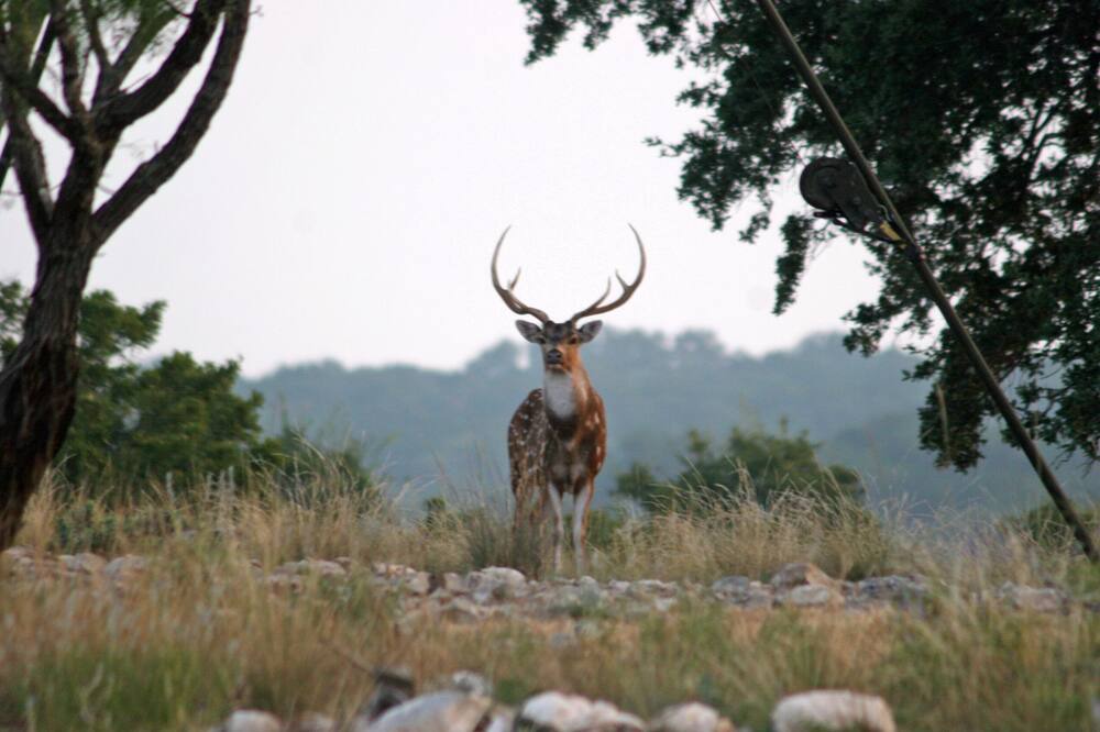 Photo of Outdoor in Telegraph