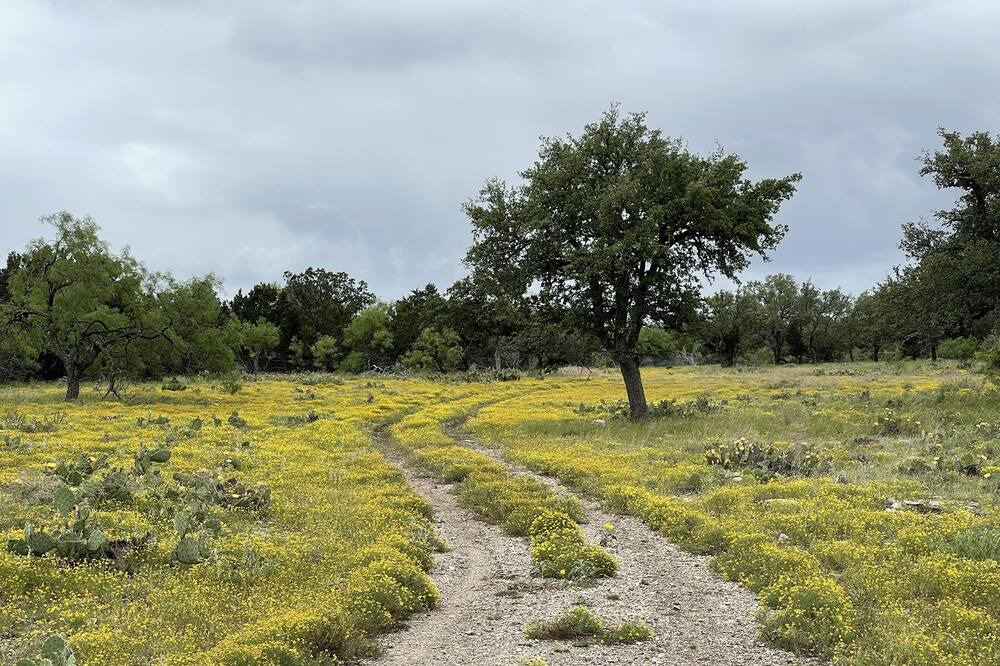 Photo of Outdoor in Telegraph