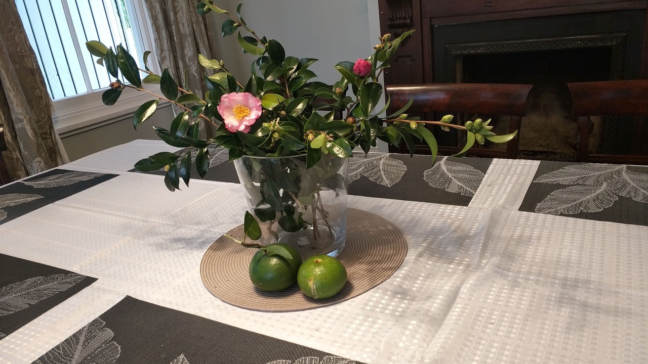 Photo of Others in Kingsland