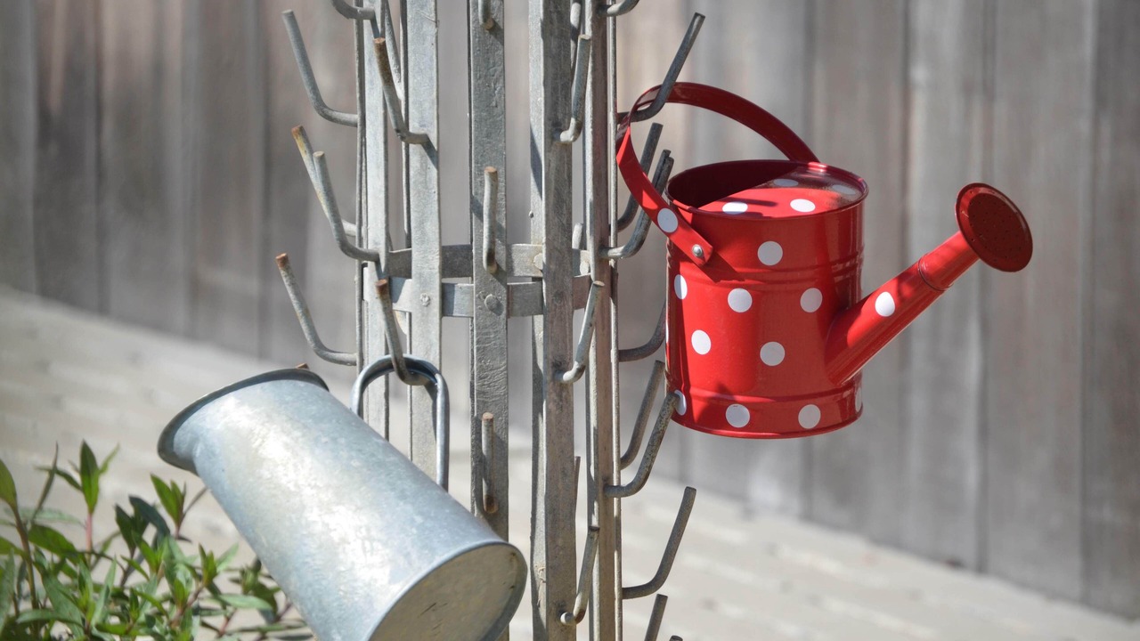 Photo of Outdoor in Martigne-Ferchaud