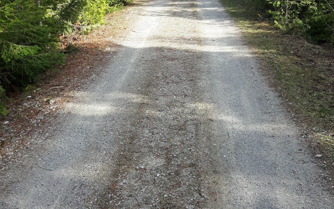 Photo of Outdoor in Providence Bay