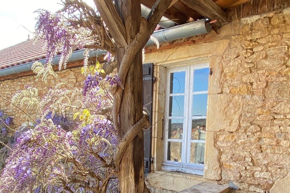 Photo of Outdoor in Loubejac