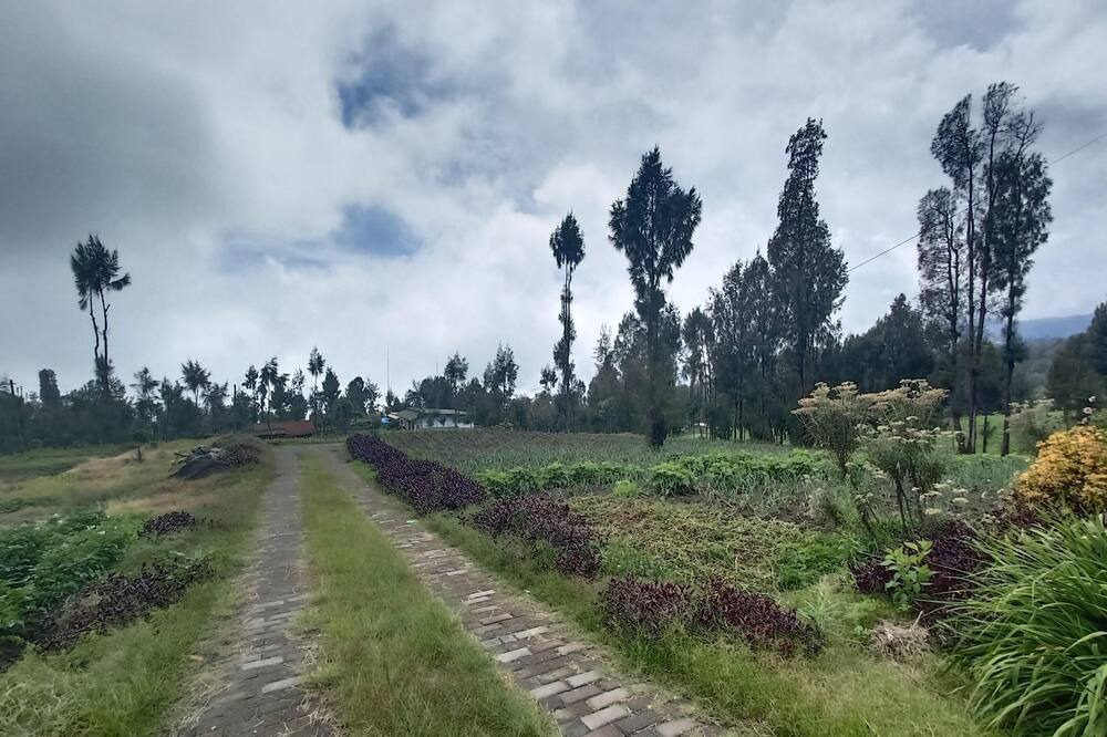 Photo of Outdoor in Ngadisari