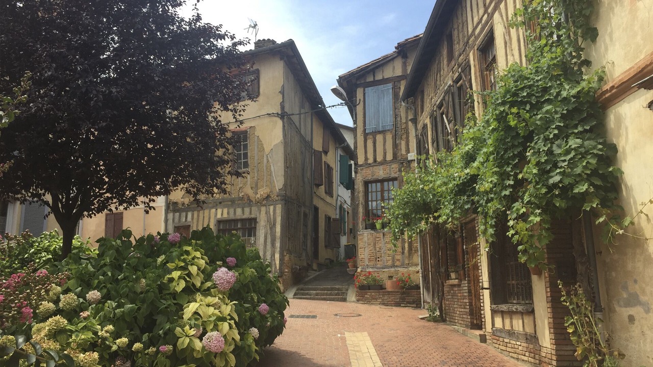 Photo of Outdoor in LIsle-en-Dodon