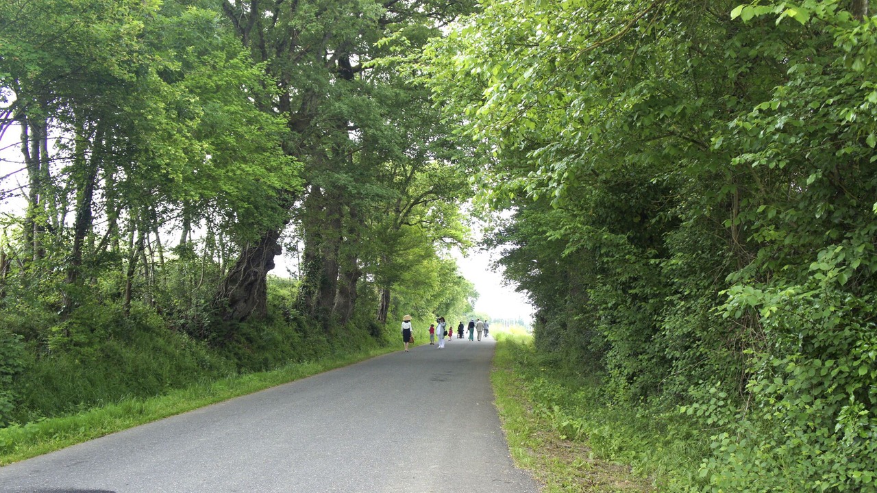 Photo of Outdoor in LIsle-en-Dodon