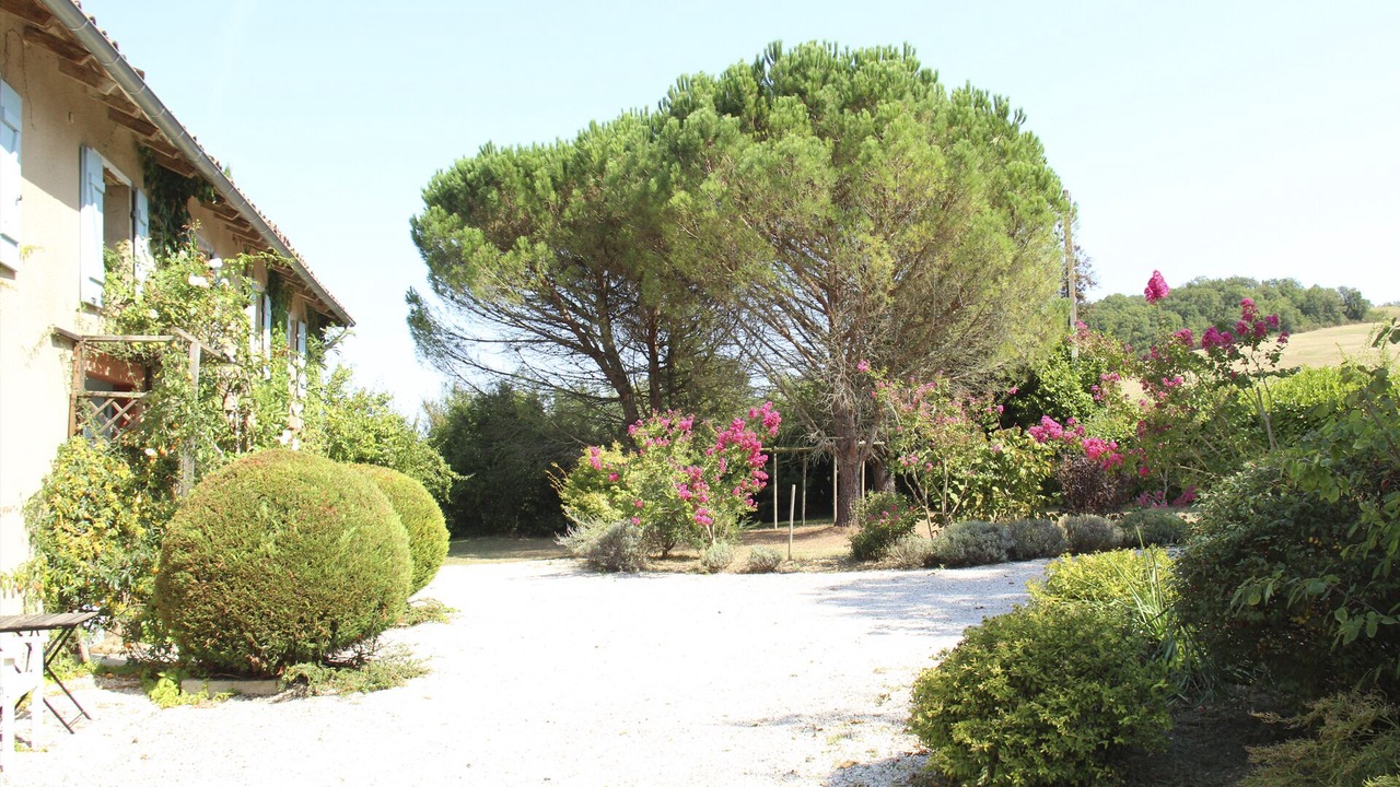 Photo of Outdoor in LIsle-en-Dodon