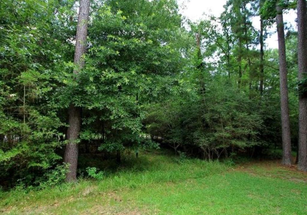 Photo of Outdoor in Cape Royale