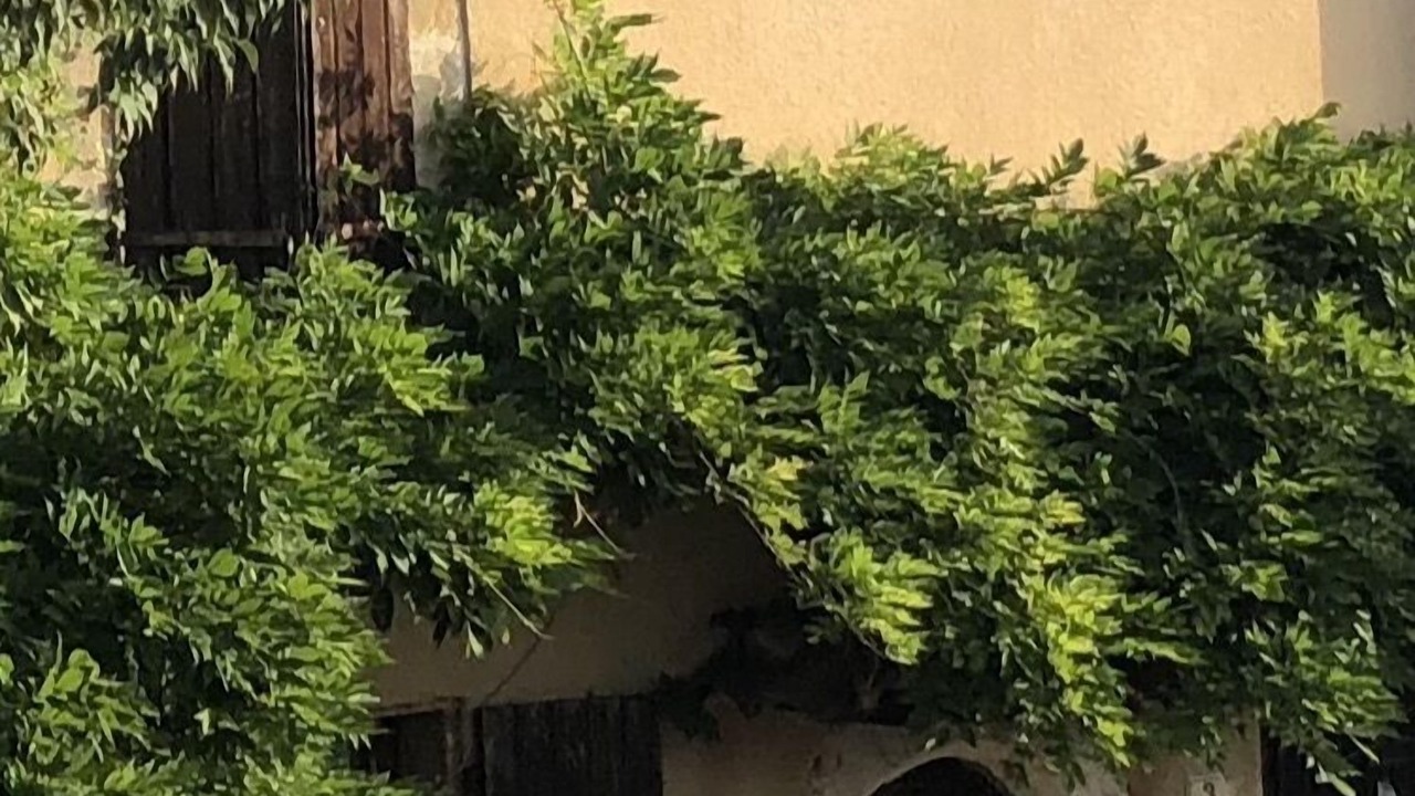 Photo of Outdoor in Monoblet
