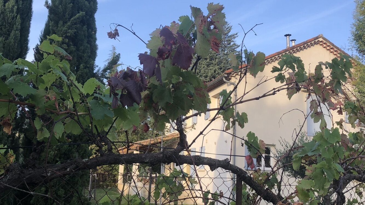 Photo of Outdoor in Monoblet