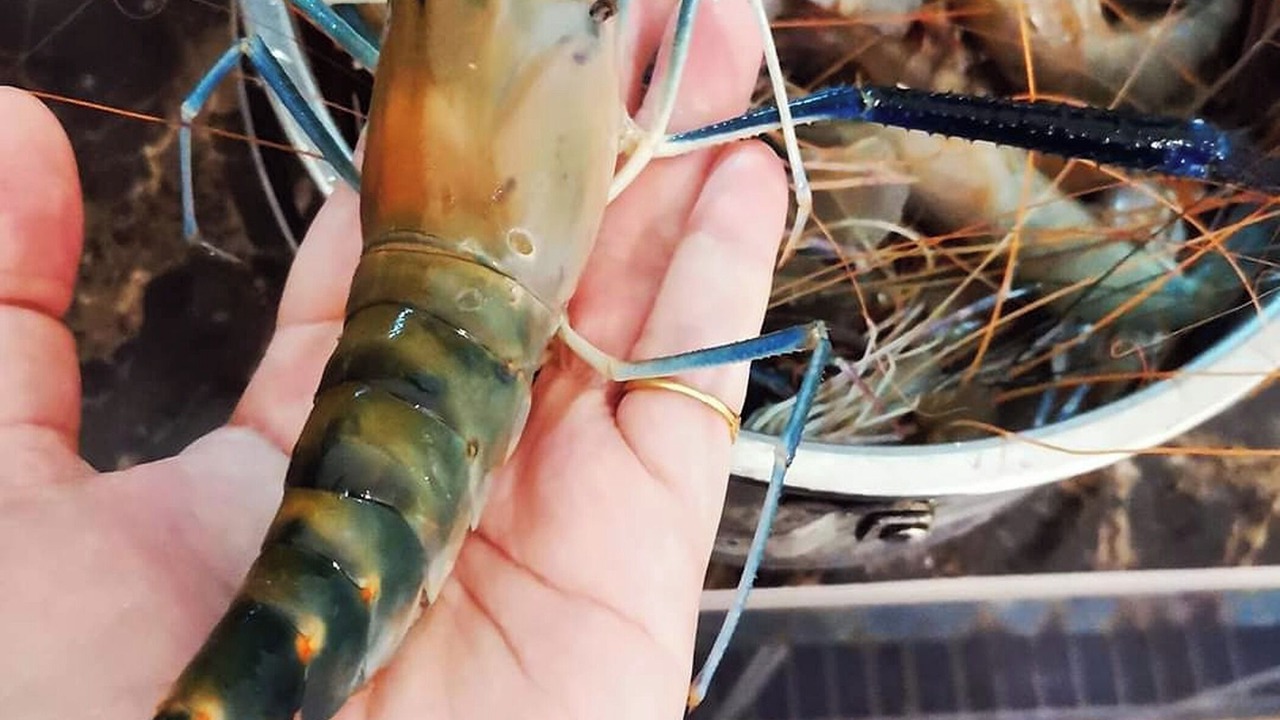 Photo of Others in Sabak Aur